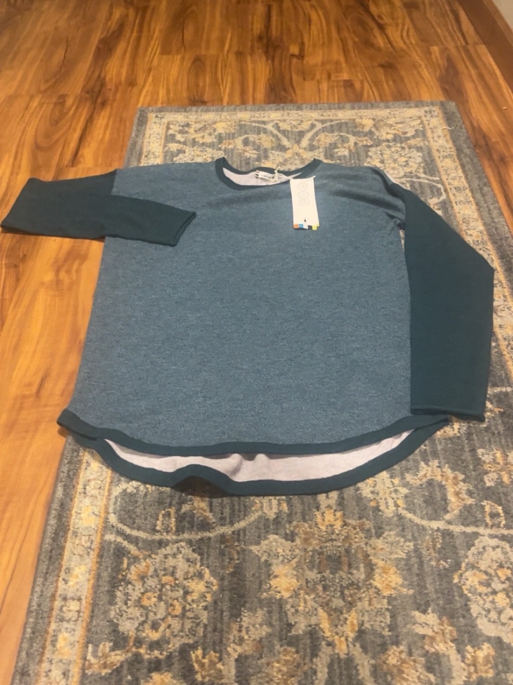 Smartwool shadow pine color block crew sweater